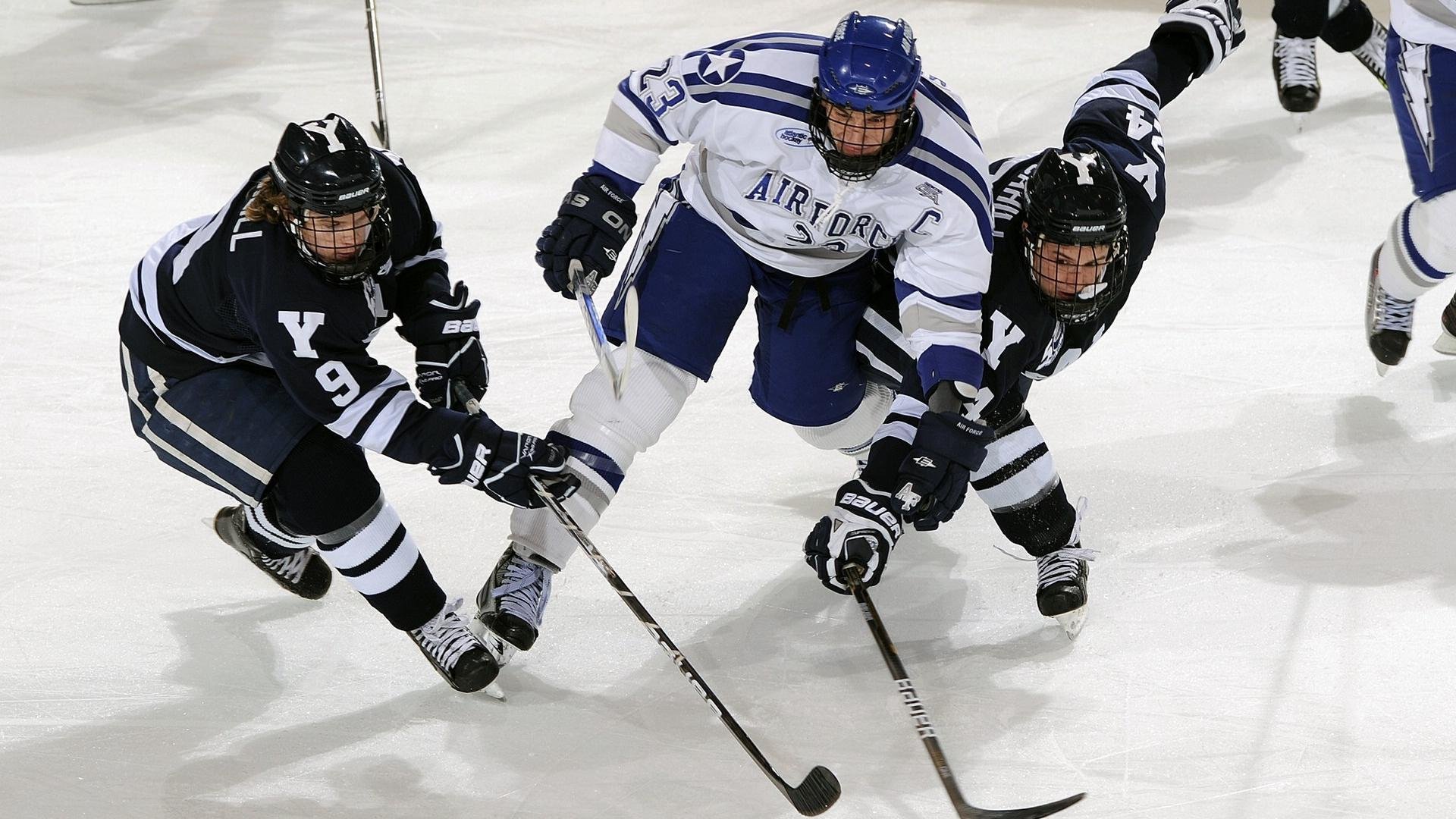 TL与分析平台合作引入AI辅助